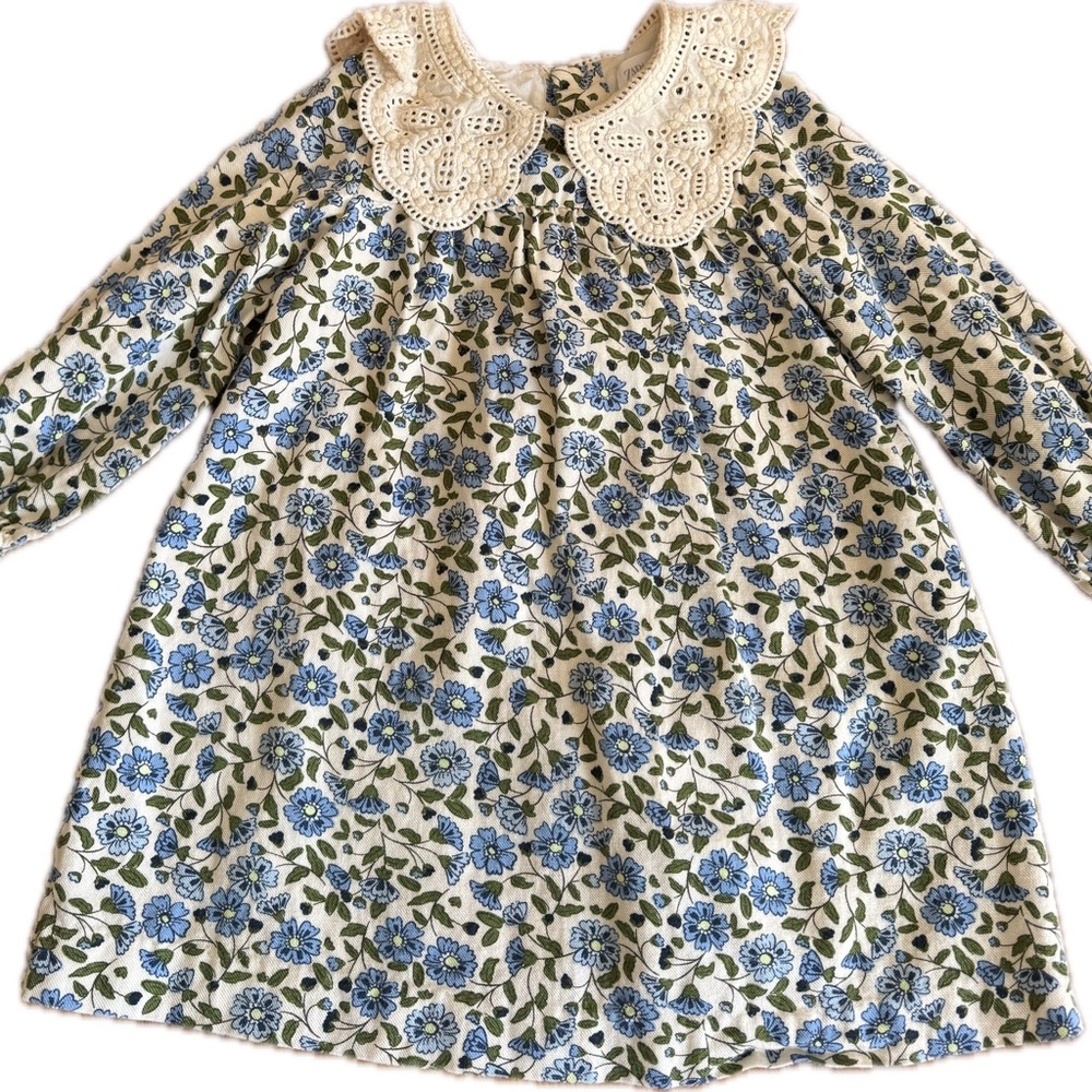 Zara Beige and Blue Embroidered Dress